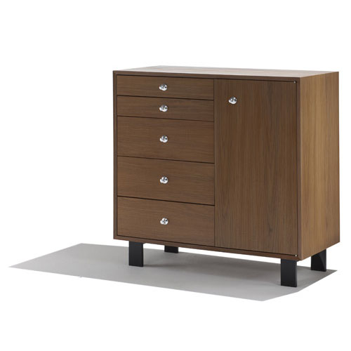 Nelson Basic Cabinet 5 Drawers with Door
